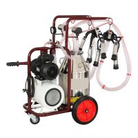 пятая тестовая запись на три строки очень длинная не прямо очень