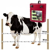 Девятая тестовая  очень длинная запись на 2 строки